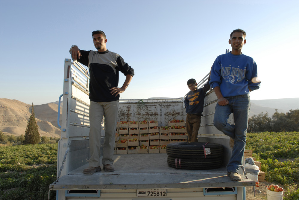 Dans une région reculée de Jordanie, de jeunes hommes transportent la récolte de tomates du jour. La faim, la pauvreté, le chômage des jeunes et les migrations forcées sont autant de problèmes profondément enracinés dans les zones rurales. ©IFAD/Lana Slezic